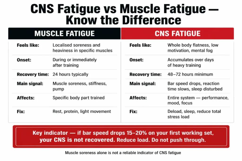 Side by side comparison infographic showing the difference between CNS fatigue and muscle fatigue in strength training
