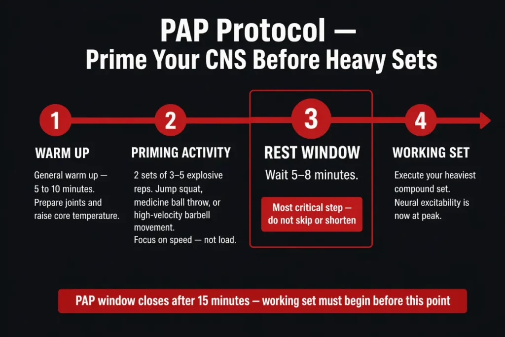 Timeline infographic showing the PAP protocol steps for priming the central nervous system before heavy lifting sets
