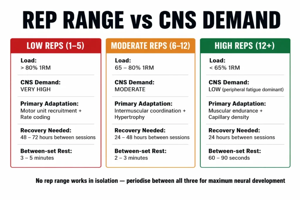 Comparison infographic showing CNS demand, load percentage, and recovery time across low, moderate, and high rep ranges