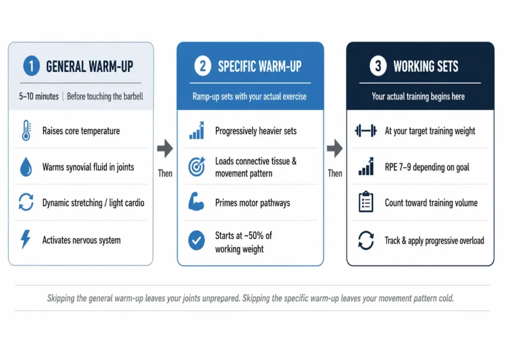 Flowchart comparing general warm-up, specific warm-up, and working sets in a strength training workout.
