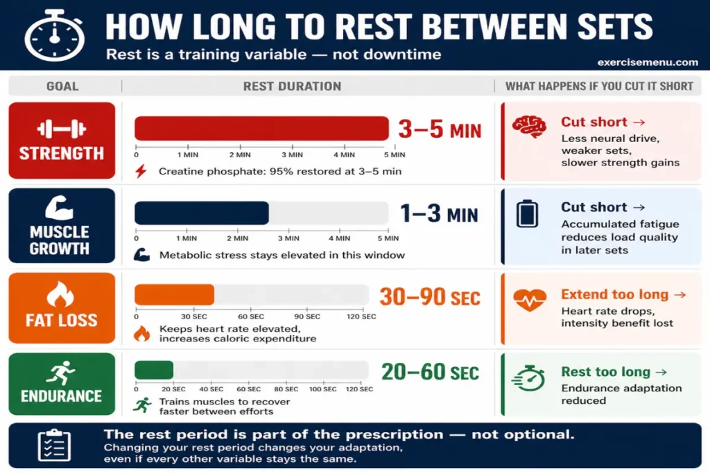 Rest periods between sets guide showing strength 3 to 5 minutes at 95 percent creatine phosphate recovery, muscle growth 1 to 3 minutes, fat loss 30 to 90 seconds, endurance 20 to 60 seconds with consequences of cutting rest short