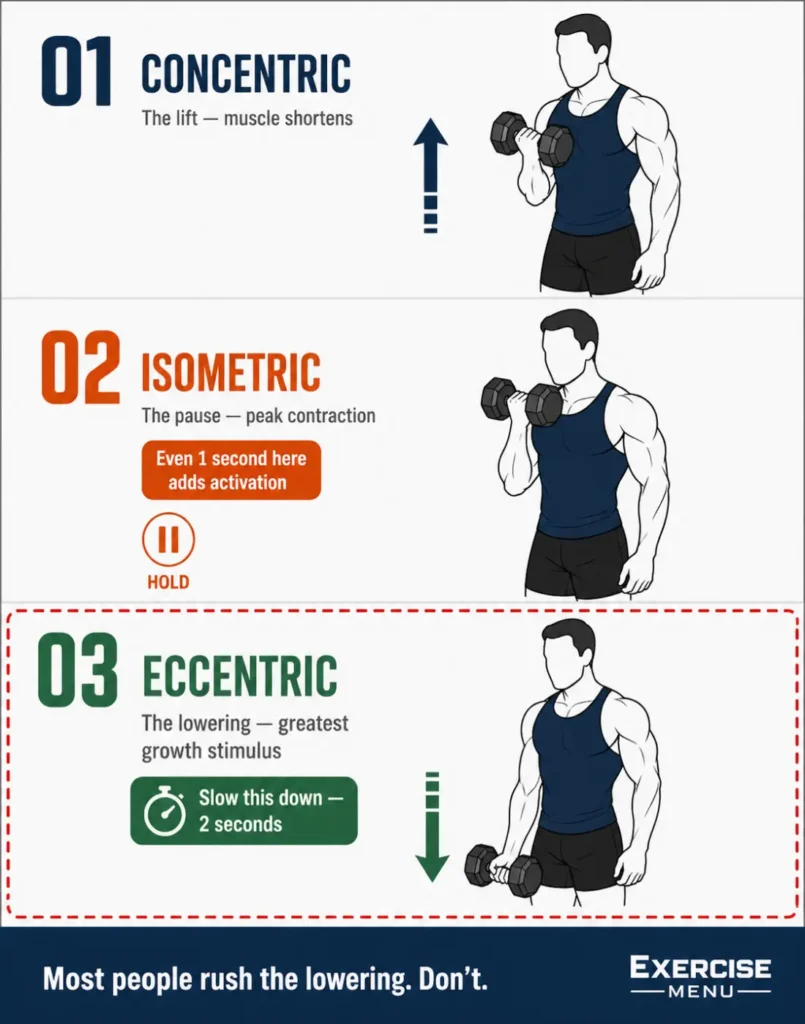 Three phases of a rep shown with dumbbell curl: concentric lifting phase, isometric pause at top, and eccentric lowering phase with 2-second marker