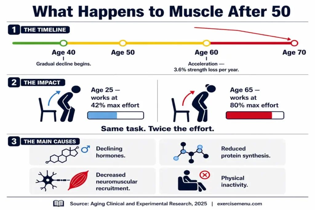 Infographic showing muscle decline after age 50, effort comparison, and key causes of strength loss.