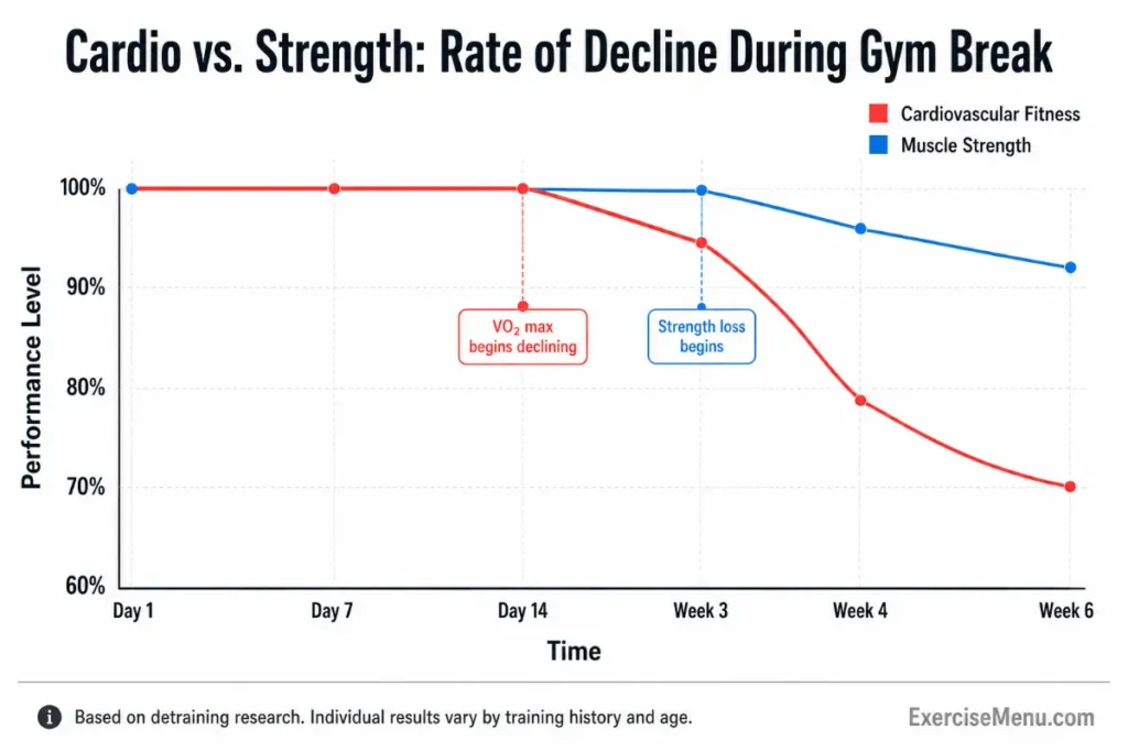 Line graph comparing cardiovascular fitness and muscle strength decline during a gym break, showing cardio performance dropping sooner and faster than strength over six weeks.