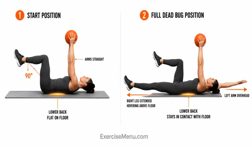 Step-by-step Medicine Ball Dead Bug demonstration showing proper arm and leg extension with lower back contact maintained throughout the movement.