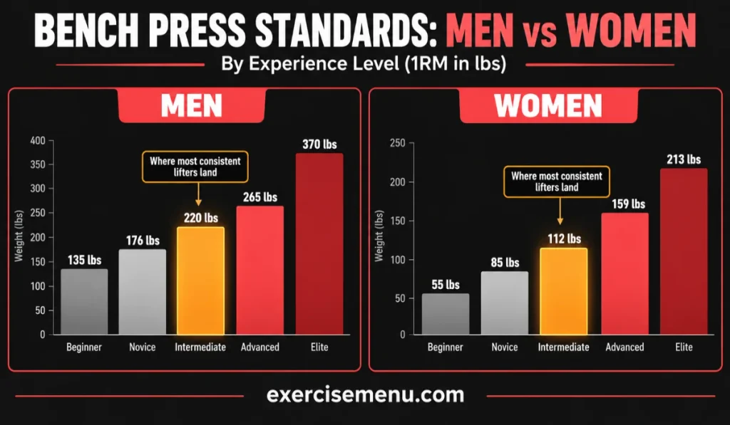 Average Bench Press for Men by Experience Level