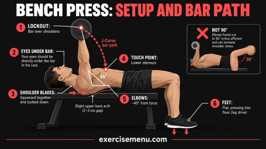 Bench press setup and bar path diagram showing eye position under the bar, shoulder-blade retraction, slight upper-back arch, J-curve bar path to the lower sternum, 45-degree elbow angle, and feet planted for leg drive.