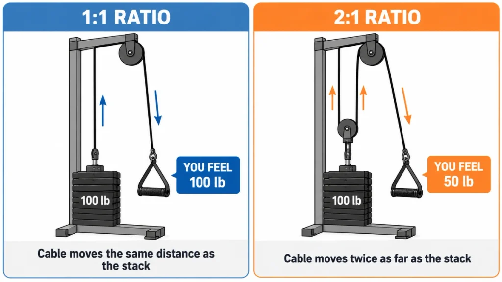 cable machine pulley ratio 1 to 1 versus 2 to 1 explained