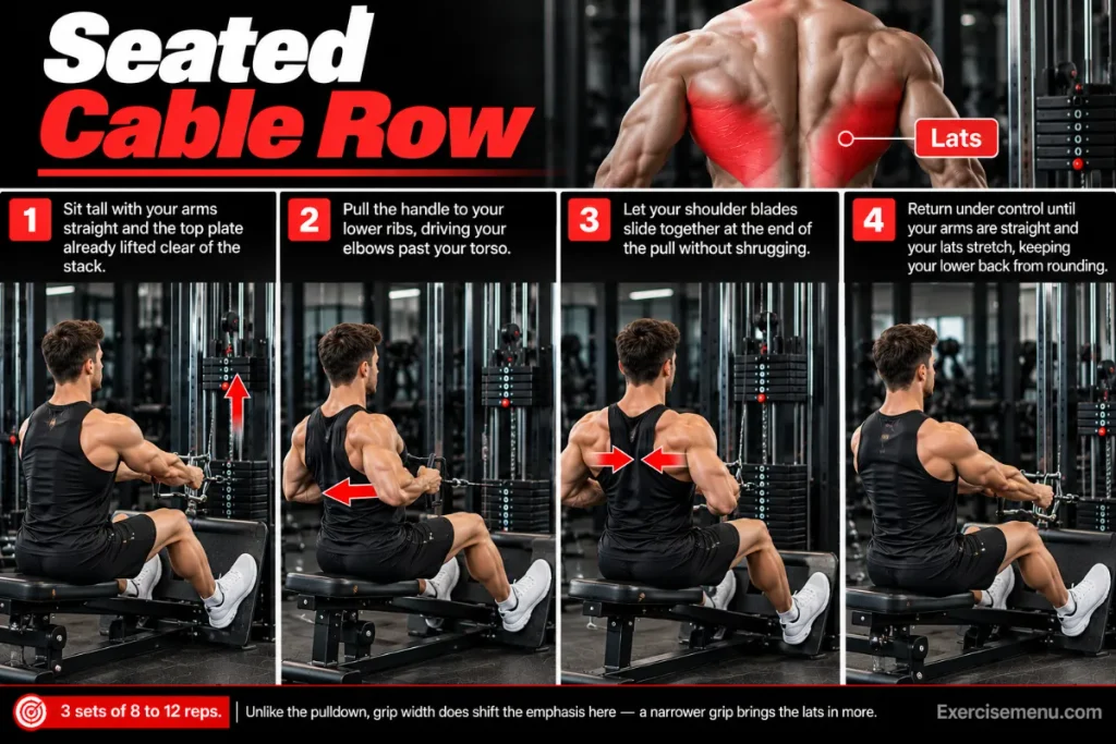 seated cable row back exercise start and finish position